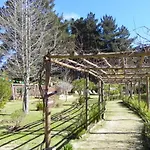 Cabana Casa Totem