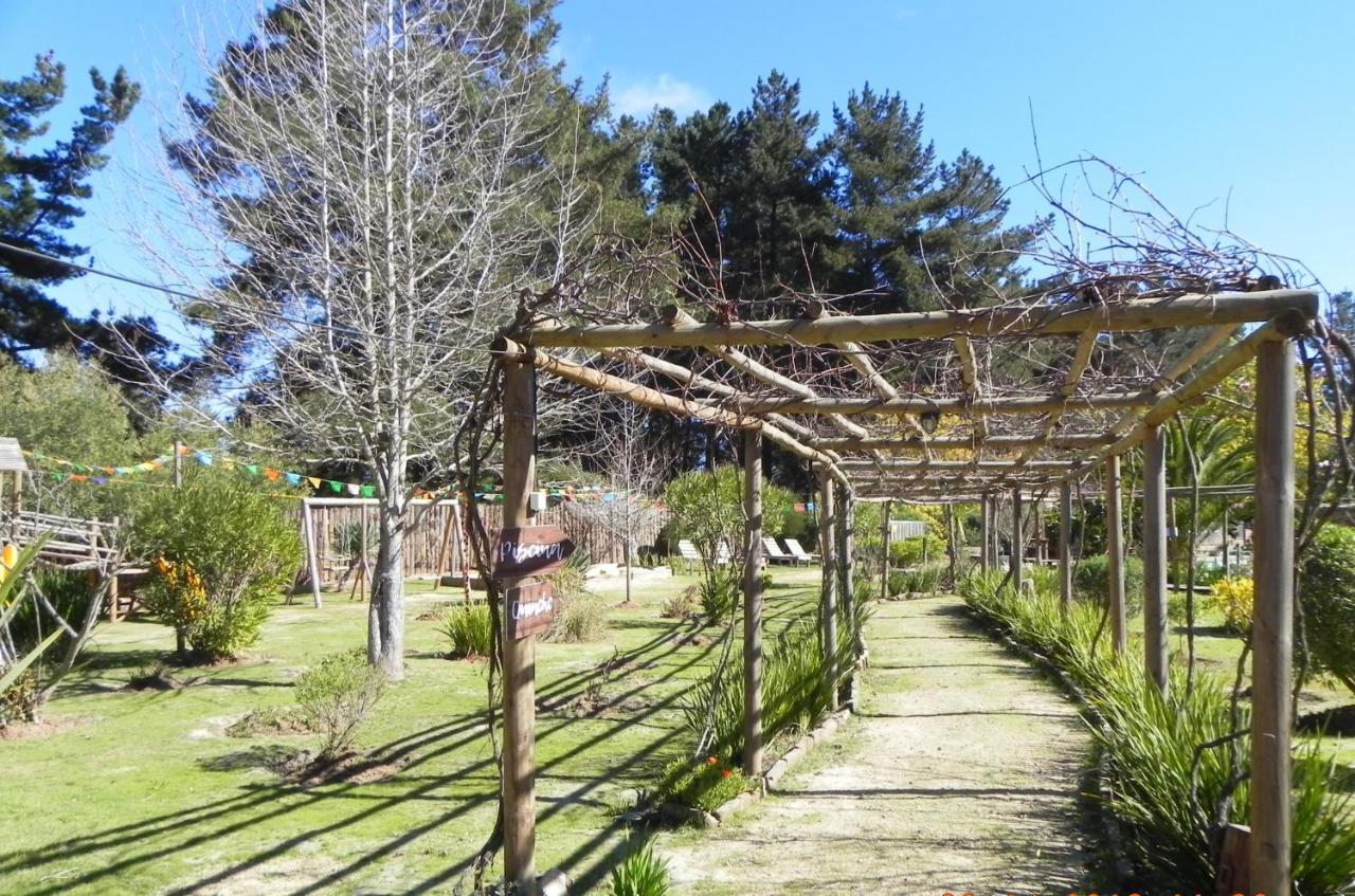 Cabana Casa Totem Algarrobo